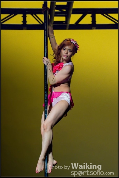 2015-11-19 Aerial Dance 0877