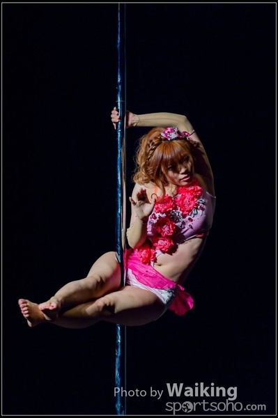 2015-11-19 Aerial Dance 0882