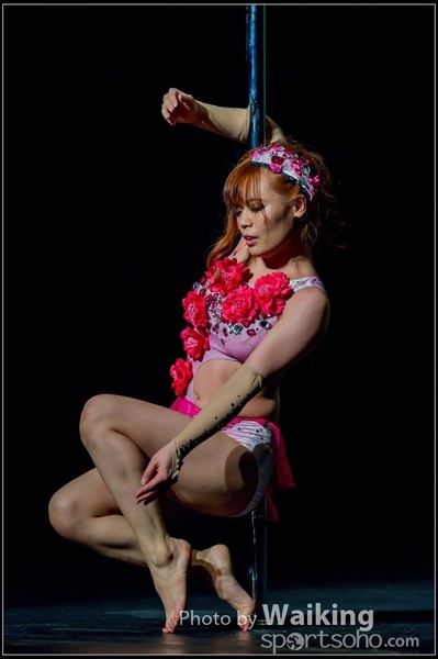 2015-11-19 Aerial Dance 0896
