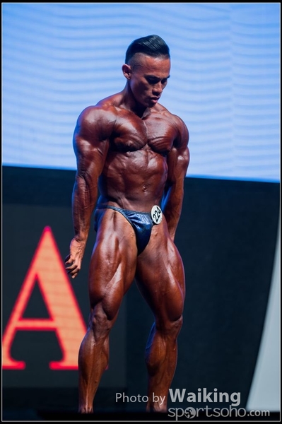 2015-11-25 Mr Olympia 0204