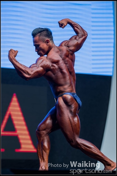 2015-11-25 Mr Olympia 0206