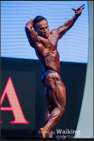 2015-11-25 Mr Olympia 0207