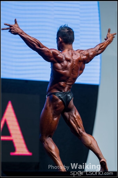 2015-11-25 Mr Olympia 0235