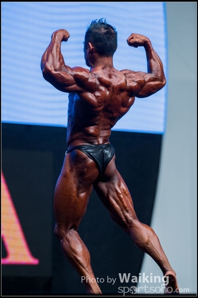 2015-11-25 Mr Olympia 0236