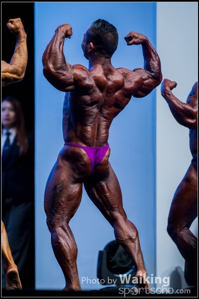 2015-11-25 Mr Olympia 0249