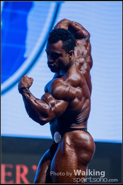 2015-11-25 Mr Olympia 0254