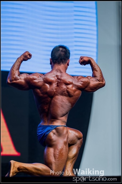 2015-11-25 Mr Olympia 0263