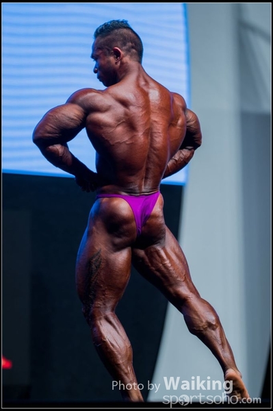 2015-11-25 Mr Olympia 0279