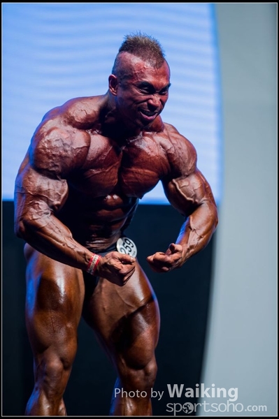 2015-11-25 Mr Olympia 0309
