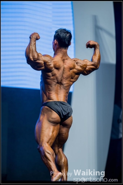 2015-11-25 Mr Olympia 0348