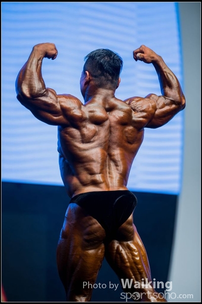 2015-11-25 Mr Olympia 0384