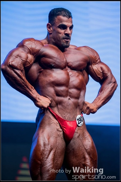 2015-11-25 Mr Olympia 0392