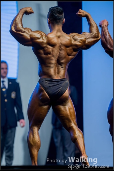 2015-11-25 Mr Olympia 0394