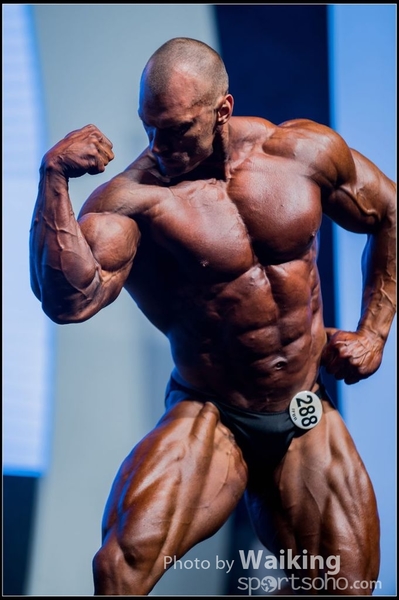 2015-11-25 Mr Olympia 0399