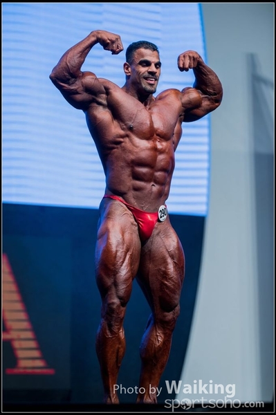 2015-11-25 Mr Olympia 0408