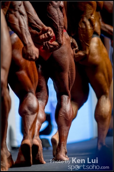 20151125Olympia175