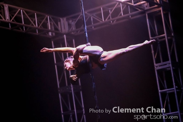 IPC 2015_110