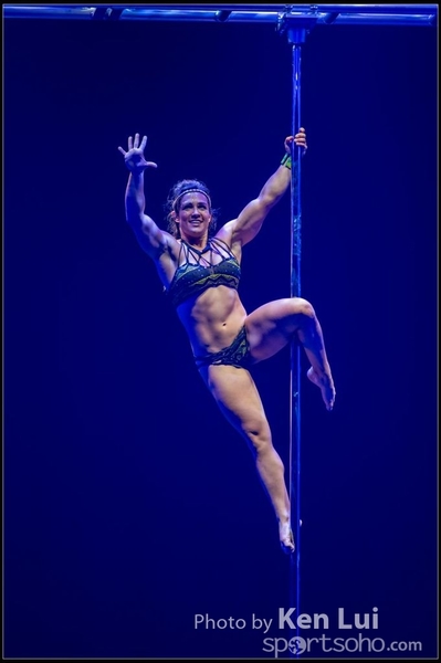 20151127pole480