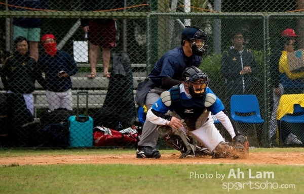 TOTO WBSC  (4)