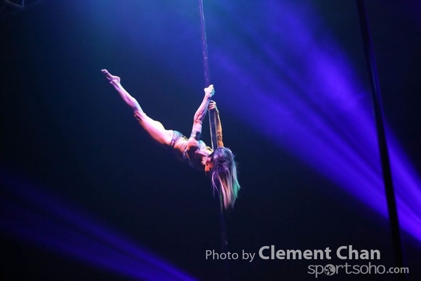 IPC 2015_317
