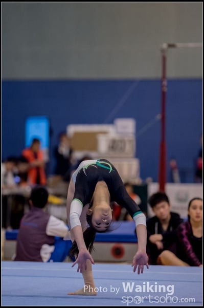 2015-12-13 Artistic Gym 0639