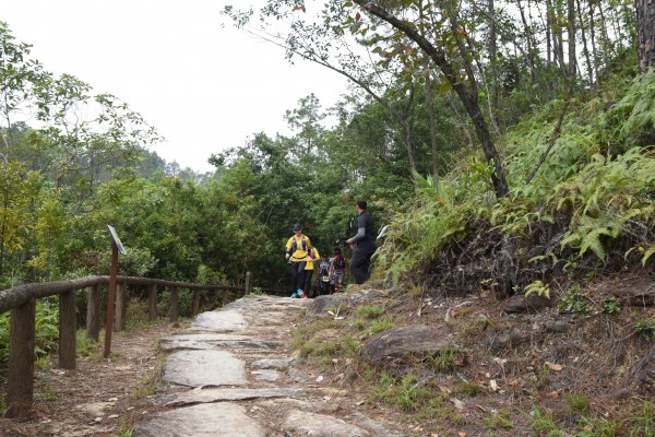 DSC_1937 (2)