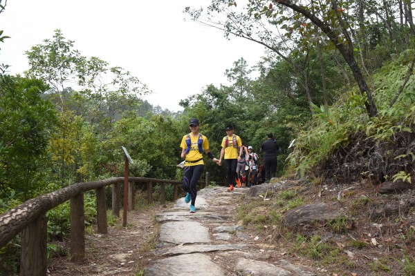 DSC_1938 (2)