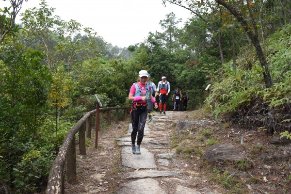 DSC_1947 (2)