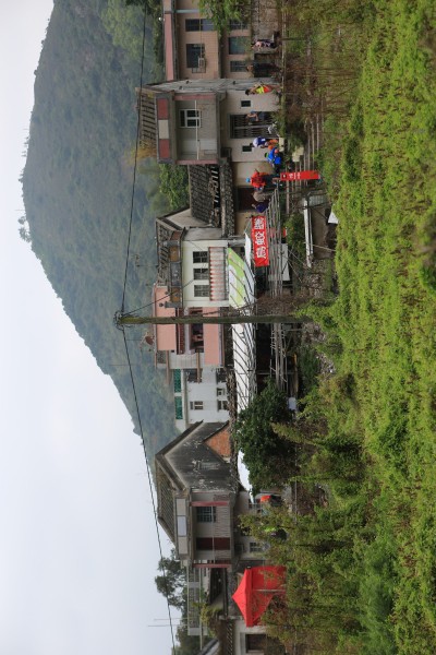 7P3A6406