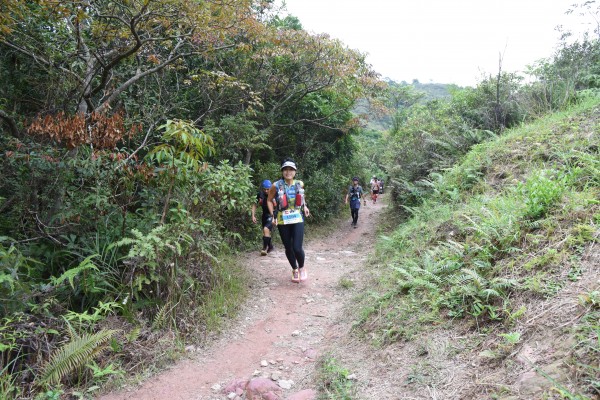 DSC_2454 (2)