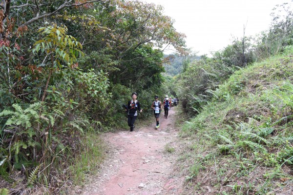 DSC_2479 (2)