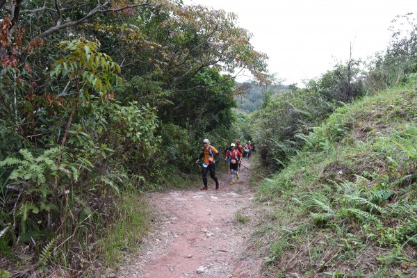 DSC_2489 (2)