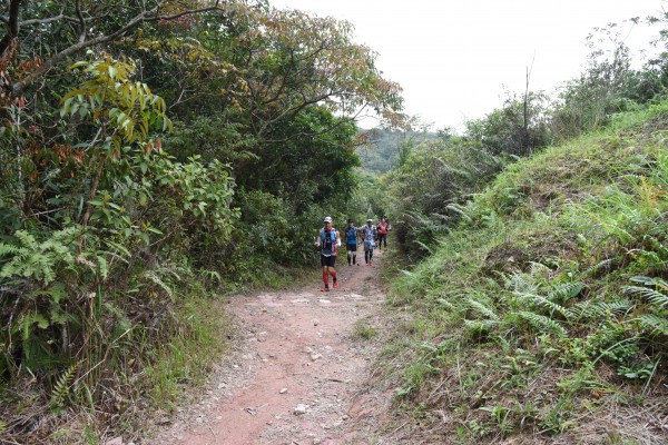 DSC_2509 (2)