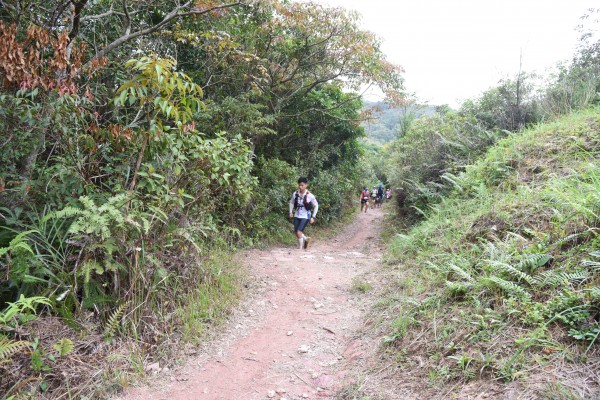 DSC_2594 (2)