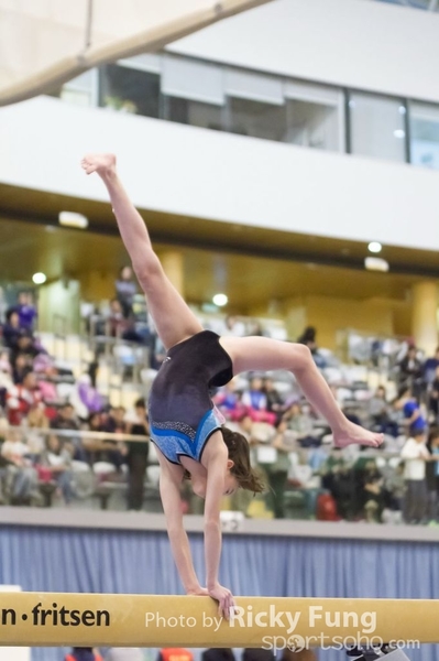 IMGP3972_1