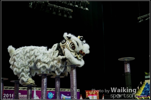 2016-01-09 Lion & Dragon Dance 0011