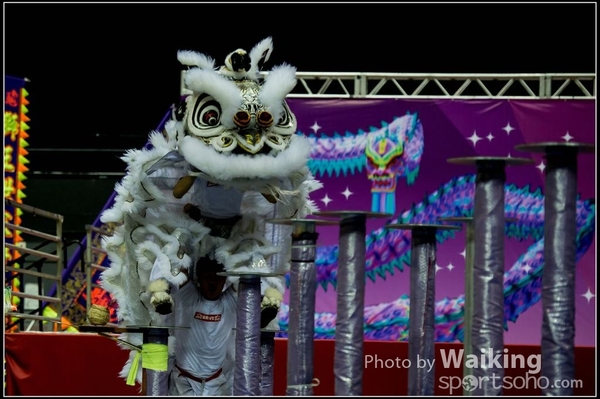2016-01-09 Lion & Dragon Dance 0017