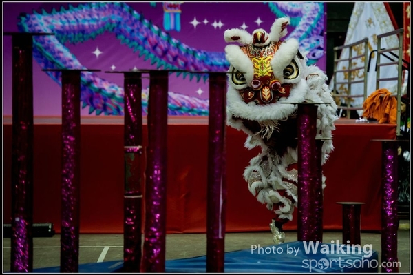 2016-01-09 Lion & Dragon Dance 0018
