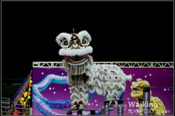 2016-01-09 Lion & Dragon Dance 0064