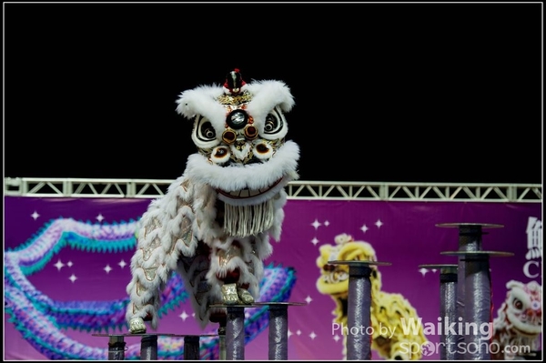 2016-01-09 Lion & Dragon Dance 0065