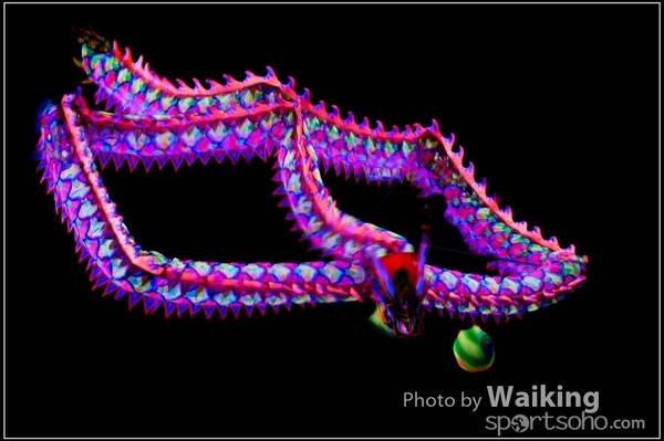 2016-01-09 Lion & Dragon Dance 0109