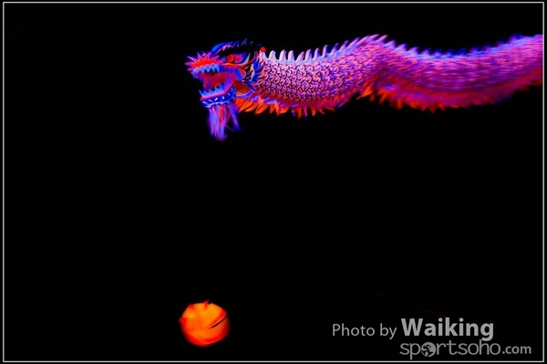 2016-01-09 Lion & Dragon Dance 0134