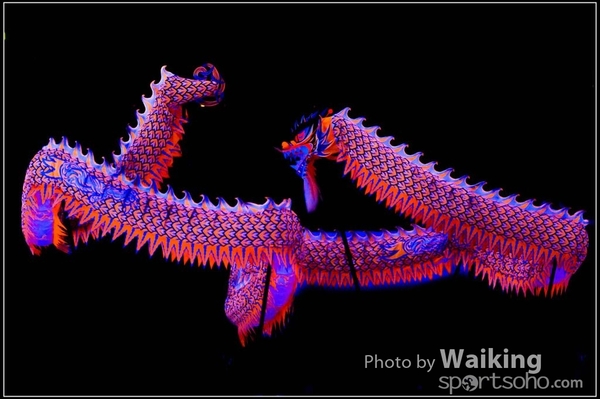 2016-01-09 Lion & Dragon Dance 0135