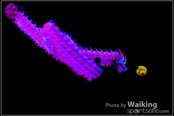 2016-01-09 Lion & Dragon Dance 0170