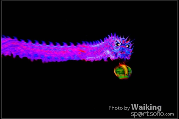 2016-01-09 Lion & Dragon Dance 0172