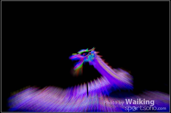 2016-01-09 Lion & Dragon Dance 0192