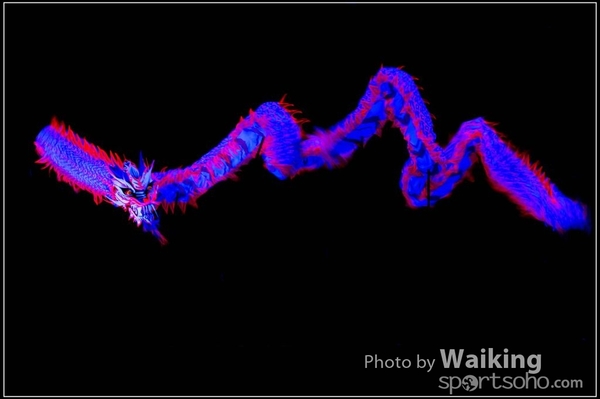 2016-01-09 Lion & Dragon Dance 0201