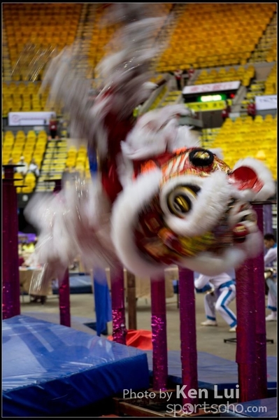 20160110LION118