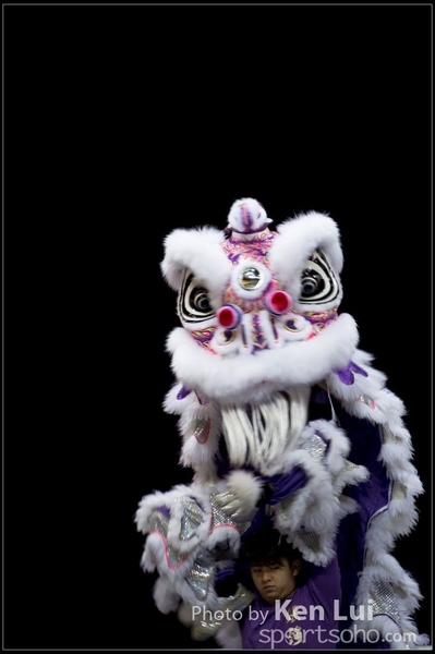 20160110LION127