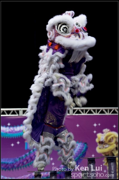 20160110LION128